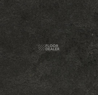 Линолеум Forbo Marmoleum Decibel 370735 фото 1 | FLOORDEALER