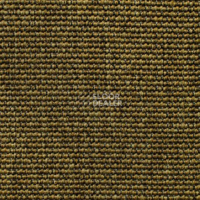 Ковролин Carpet Concept Eco Iqu 60240 фото 1 | FLOORDEALER