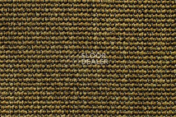 Ковролин Carpet Concept Eco Iqu 60240 фото 1 | FLOORDEALER