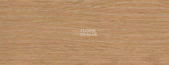 Плинтус Dollken EP 60/13 2425 фото 2 | FLOORDEALER