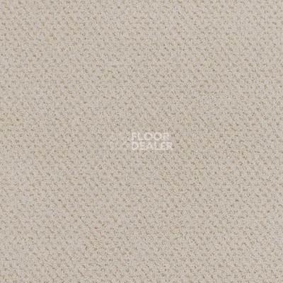 Ковролин Lano Square 252 фото 1 | FLOORDEALER