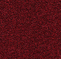 Грязезащитные покрытия Forbo Coral Bright 2603 Vivid Earth фото 1 | FLOORDEALER