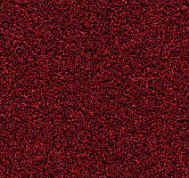 Грязезащитные покрытия Forbo Coral Bright 2603 Vivid Earth фото 1 | FLOORDEALER