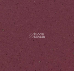 Кварцвиниловые полы Forbo Allura Colour C68034 фото 1 | FLOORDEALER