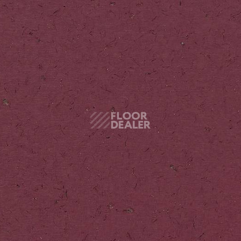 Кварцвиниловые полы Forbo Allura Colour C68034 фото 1 | FLOORDEALER