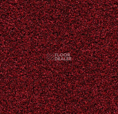 Грязезащитные покрытия Forbo Coral Bright 2603 Vivid Earth фото 1 | FLOORDEALER