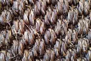 Циновки Циновка Dragon Grass 8009 фото  | FLOORDEALER