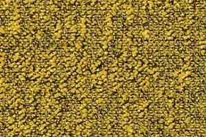 Ковровая плитка DESSO AirMaster Earth 6202 фото  | FLOORDEALER