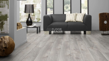 Kronotex Mammut d4793 Дуб Белый Макро фото 4 | FLOORDEALER