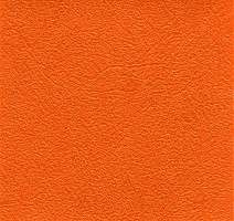 Линолеум Graboflex Gymfit 25 4000_635_3 фото 1 | FLOORDEALER