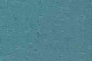 Ковролин Vorwerk Passion 1021 Vorwerk 3k11 фото  | FLOORDEALER