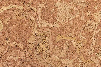 Пробковое покрытие Eco Cork MADEIRA фото 1 | FLOORDEALER