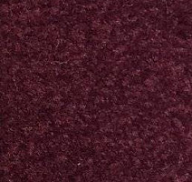 Ковролин Emphatic Beaulieu of America 56883 фото 1 | FLOORDEALER