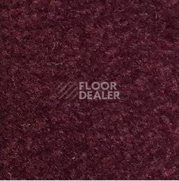 Ковролин Emphatic Beaulieu of America 56883 фото 1 | FLOORDEALER