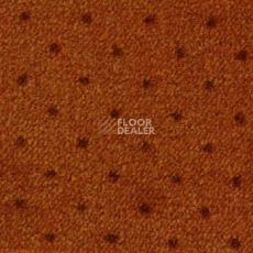 Ковролин Ambassador Associated Weavers 84 фото 1 | FLOORDEALER