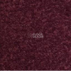 Ковролин Emphatic Beaulieu of America 56883 фото 1 | FLOORDEALER