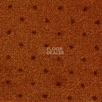 Ковролин Ambassador Associated Weavers 84 фото 1 | FLOORDEALER