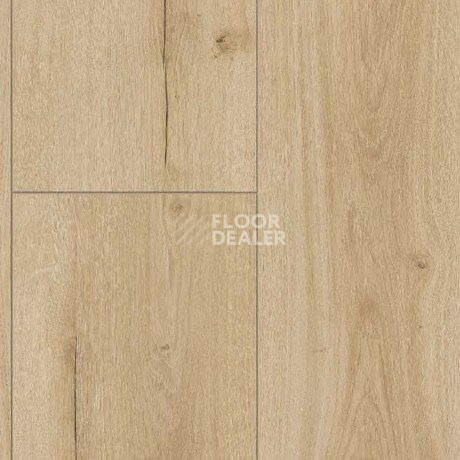 Parador Trendtime 6 1744709 Дуб Pure Loft фото 2 | FLOORDEALER