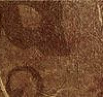 Керамогранит ColiseumGres SICILIA Сицилия Коричневый Фашиа Листья фото 1 | FLOORDEALER