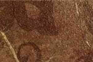 Керамогранит ColiseumGres SICILIA Сицилия Коричневый Фашиа Листья фото  | FLOORDEALER