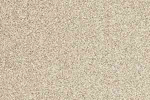 Ковролин ITC Evolve Evolve 33 фото  | FLOORDEALER