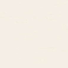 Линолеум Polyflor Polyclad Plus Pu 2840 фото 1 | FLOORDEALER