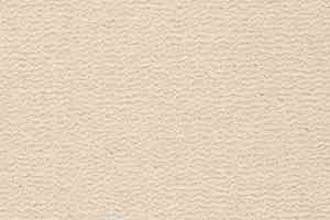 Ковролин Best Wool Pure Tasman 103 фото  | FLOORDEALER