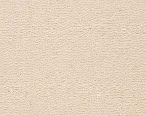 Best Wool Pure Tasman 103 фото 1 | FLOORDEALER