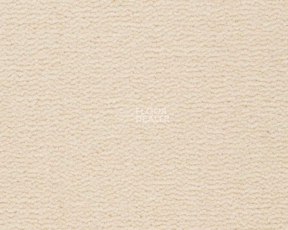 Ковролин Best Wool Pure Tasman 103 фото 1 | FLOORDEALER