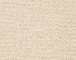 Best Wool Pure Tasman 103 фото 1 | FLOORDEALER