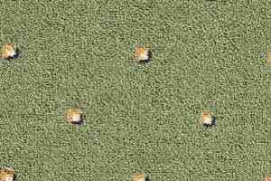 Ковролин Balta ITC Strauss 26 фото  | FLOORDEALER