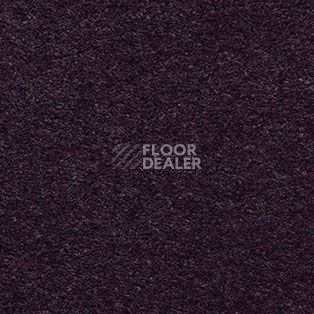 Ковролин AW Hermes 18 фото 1 | FLOORDEALER