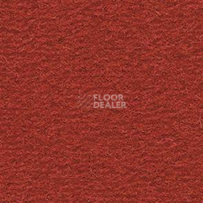Ковролин Balsan Altitude Altitude 480 фото 1 | FLOORDEALER