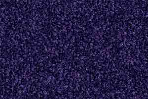 Ковролин Balsan Bolero 895 фото  | FLOORDEALER