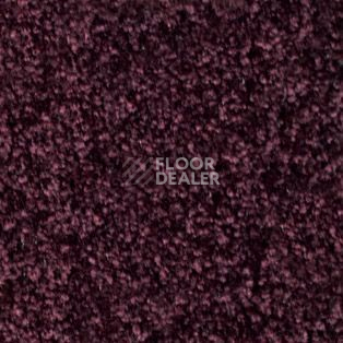 Ковролин AW Silence 19 фото 1 | FLOORDEALER