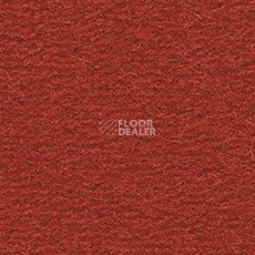 Ковролин Balsan Altitude Altitude 480 фото 1 | FLOORDEALER
