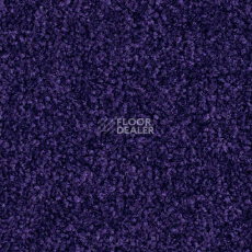Ковролин Balsan Bolero 895 фото 1 | FLOORDEALER