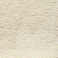 Shaw Cashmere IV 100 фото 1 | FLOORDEALER