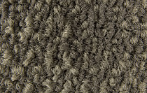 Galaxy F 005 фото 4 | FLOORDEALER