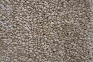 Ковролин Condor Carpets Dynasty 90 фото  | FLOORDEALER