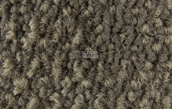 Galaxy F 005 фото 4 | FLOORDEALER