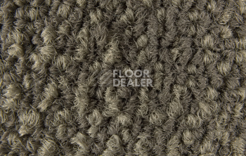 InnovFlor Galaxy F 005 фото 4 | FLOORDEALER