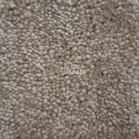 Ковролин Condor Carpets Dynasty 90 фото 1 | FLOORDEALER