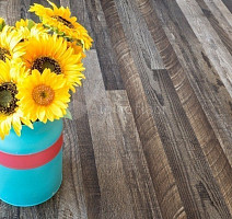 Alpine Floor Easy Line 3мм ОРЕХ СОСТАРЕННЫЙ ECO 3-11 фото 2 | FLOORDEALER