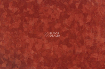 Tarkett iq Melodia 2634 фото 3 | FLOORDEALER