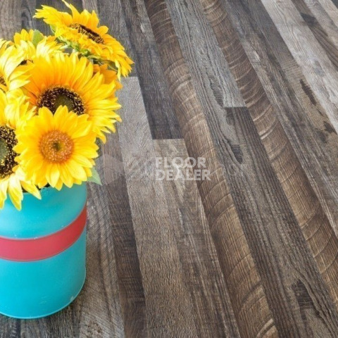 Alpine Floor Easy Line 3мм ОРЕХ СОСТАРЕННЫЙ ECO 3-11 фото 2 | FLOORDEALER