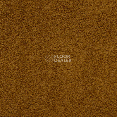 Ковролин AW Masquerade Lamia 80 фото 1 | FLOORDEALER