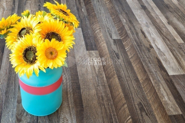 Alpine Floor Easy Line 3мм ОРЕХ СОСТАРЕННЫЙ ECO 3-11 фото 2 | FLOORDEALER