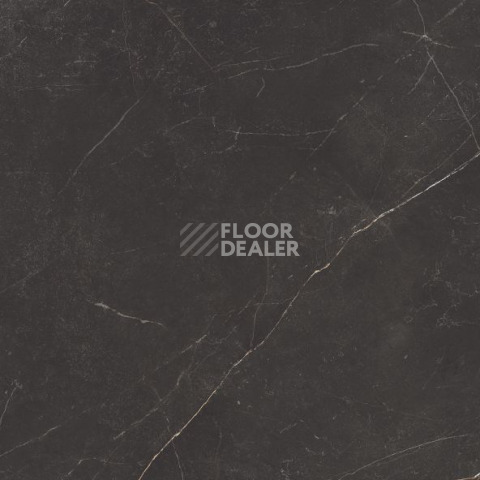 Nolana ( Нолана ) 60 x 60 x10 NL04 фото 3 | FLOORDEALER