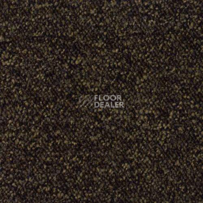 Ковровая плитка Desso Pallas 9091 фото 1 | FLOORDEALER